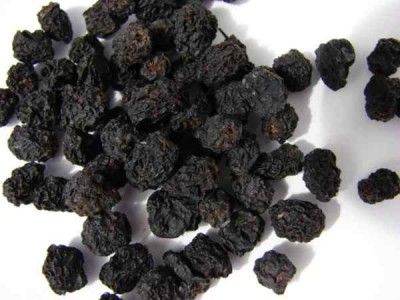 Aronia melanocarpa (chokeberies)